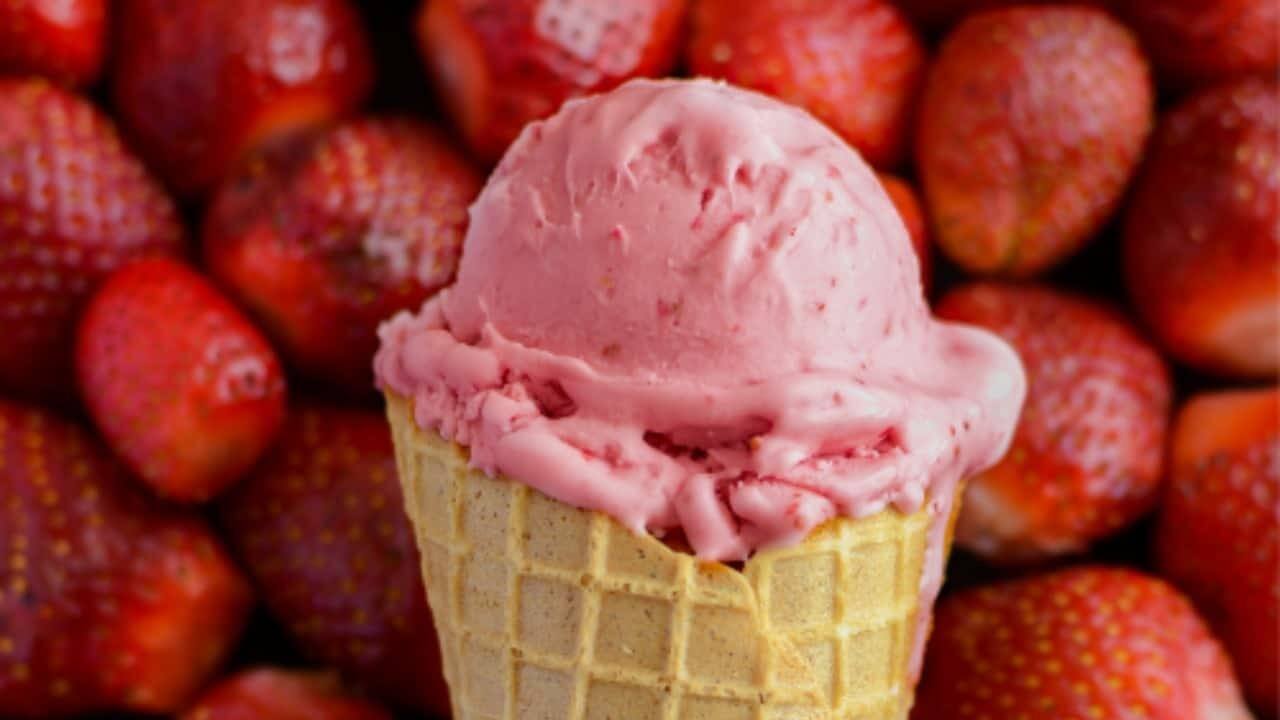 Fruit Specials
